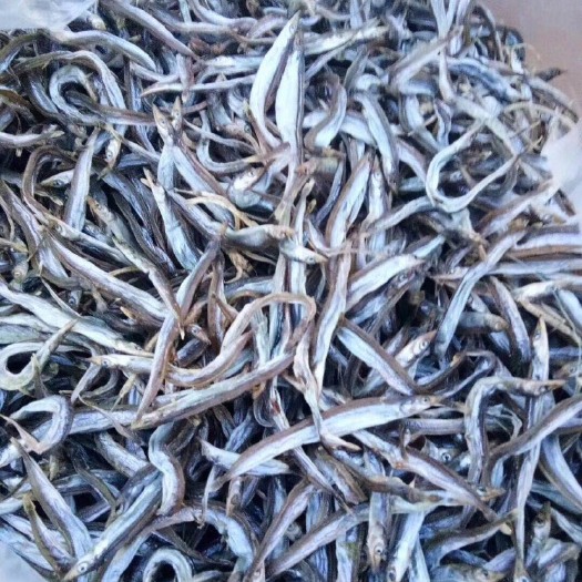 青岛银鱼干 面条鱼（生）
