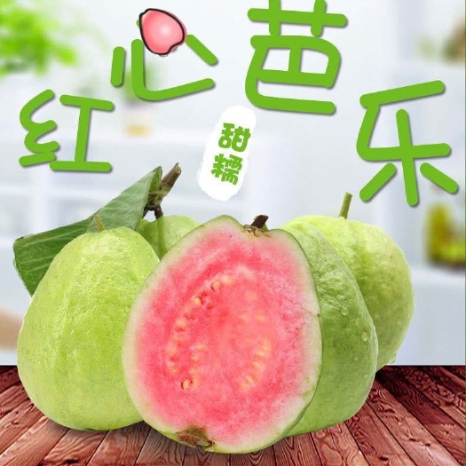 漳州红心芭乐 【芭乐五斤装】一件代发包邮红心白心