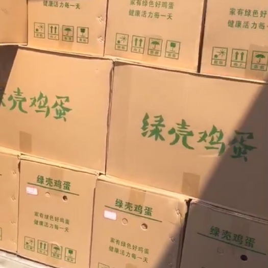 厦门本地绿壳蛋