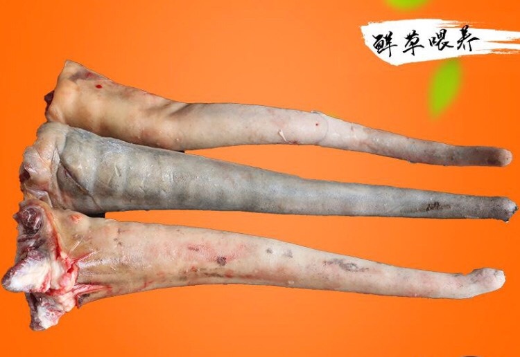 兰陵县新鲜驴尾巴 驴尾生驴肉  生驴尾巴卤菜饭店食材火锅山东特产