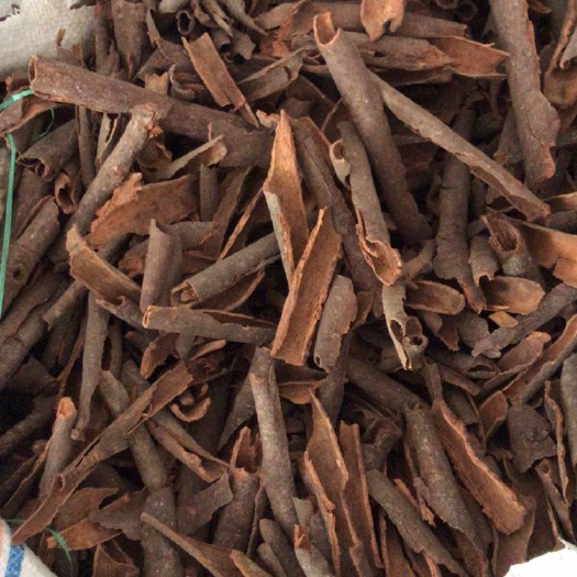 平南县肉桂 特好桂碎，杂质少，