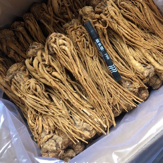 陇西县水洗特大剪尾有硫当归原产地批发，量大各种规格均可定制