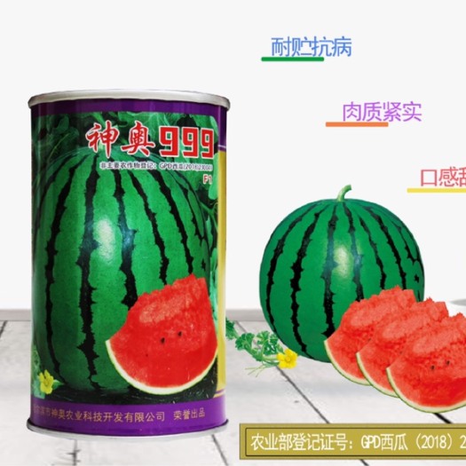 哈尔滨神奥999 早熟西瓜，耐贮运，抗病性强，24小时内发货