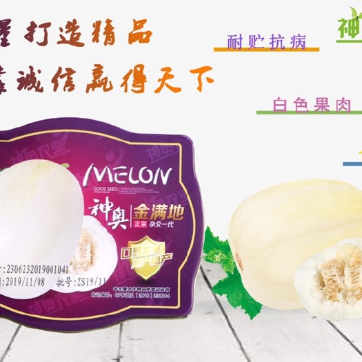 神奥金满地 金满地甜瓜，农业部登记品种，可备案的甜瓜品种