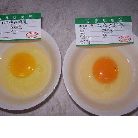 邳州市 正宗散养土鸡蛋，营养美味
