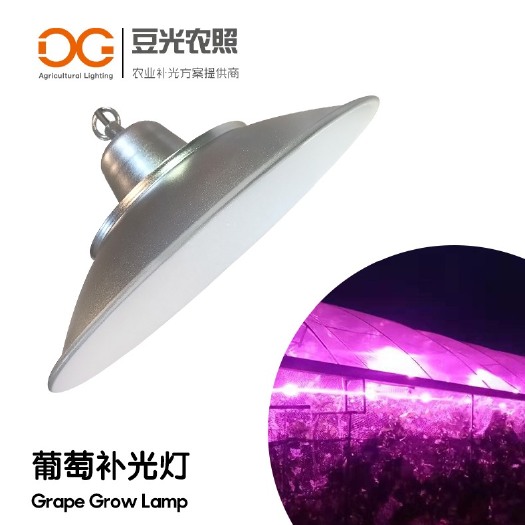 中山市种植大棚 葡萄补光灯 农业种植技术