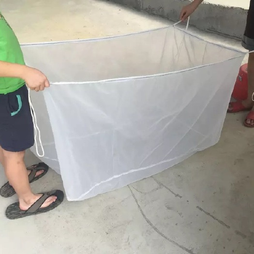 水产养殖箱  蝌蚪网箱渔苗养殖网箱 孵化海参育苗80一240