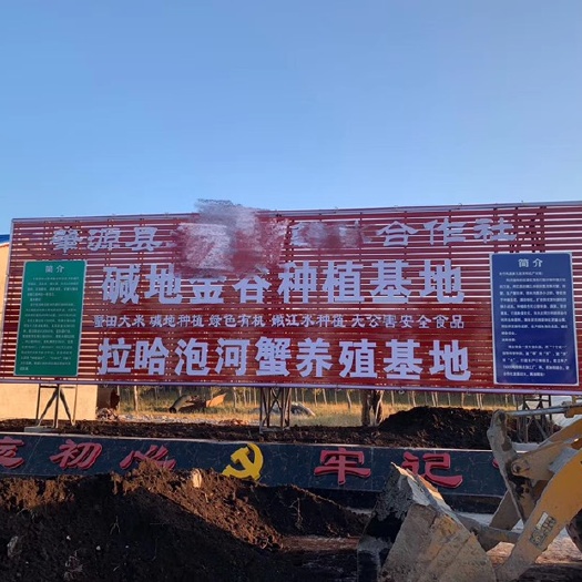 肇源县 水田出租 价格优惠