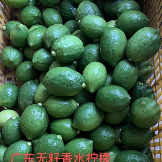 台山市产地直供广东无籽香水柠檬 一级果，二级果黄果