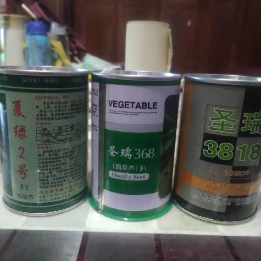 寿光市绿皮西葫芦种子  春播，越夏，秋延，越冬品种都有