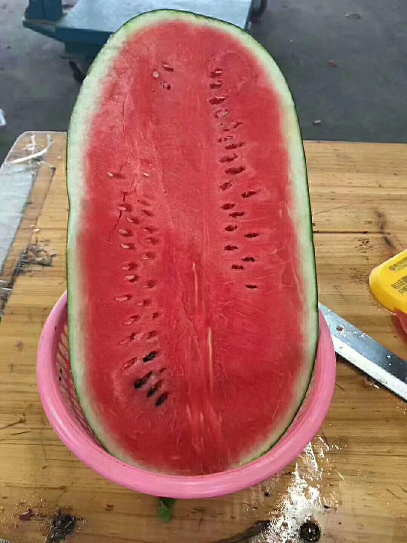 黑美人西瓜 10成熟 8斤打底 1茬 有籽