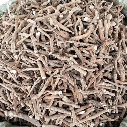 玉林塘边耦 中药材三白草根  塘边藕  百节藕