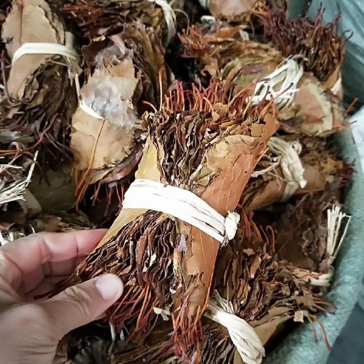 玉林 中药材山楂叶  扎把山楂叶