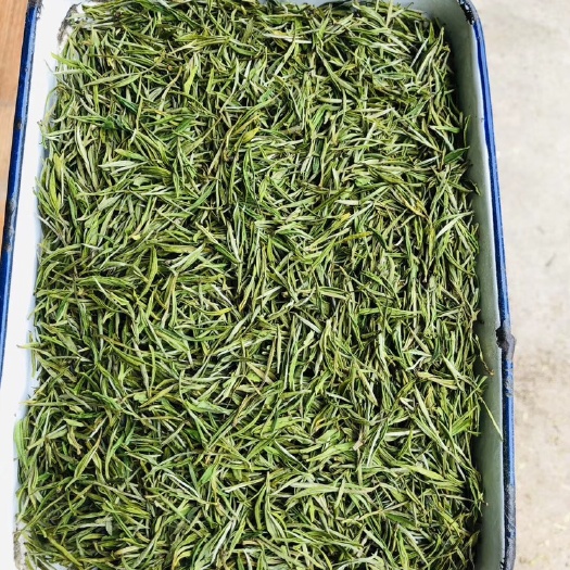 三江县柳州三江侗族自治县高山吉安白茶龙井茶头春6号白茶