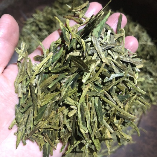 遂昌县龙井茶 2020年早茶 乌牛早 500g 后期有龙井 白茶 香茶
