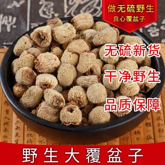 安国市新货，无硫，覆盆子，，干净 产地直销！正品货！
