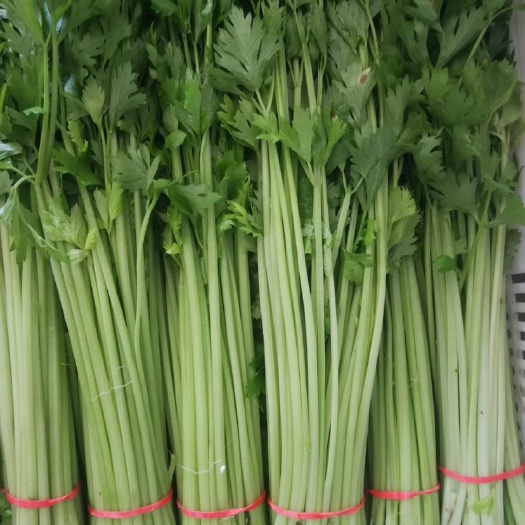 山芹货源充足，质量好