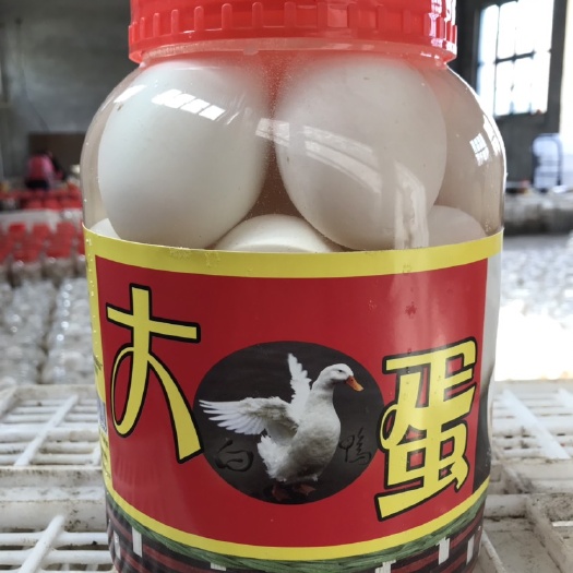 桓台县 大白鸭蛋