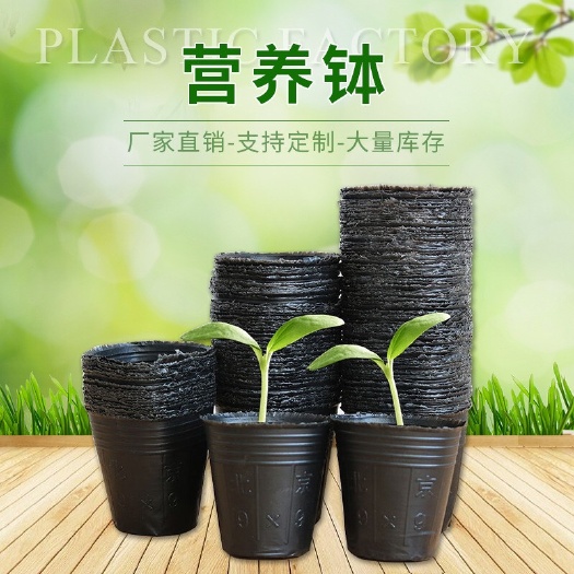 营养钵/营养杯 营养钵批发各种型号耐用防老化营养钵