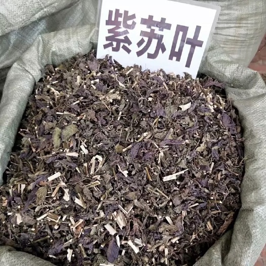  紫苏叶