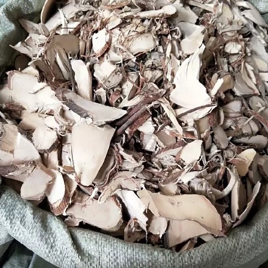 玉林 中药材  了哥王
