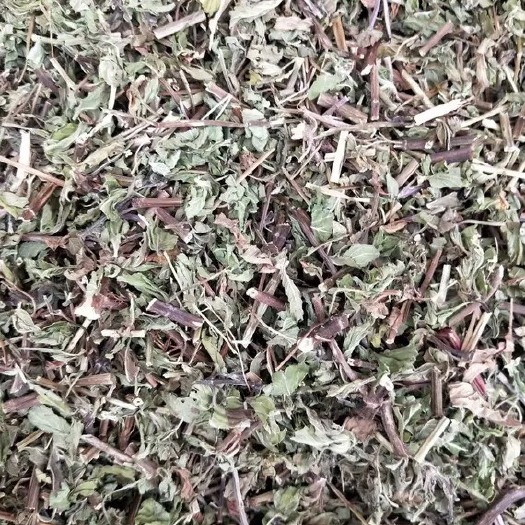 玉林 批发中药材薄荷叶 薄荷梗