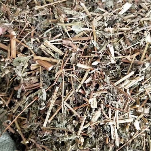  中药材    鬼针草