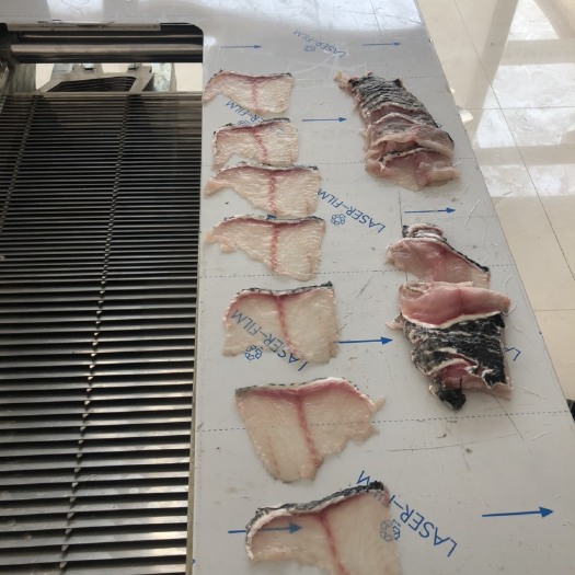 巨鹿县切肉机 鱼肉切片机 斜切鱼片机切肉片机羊肉斜切机