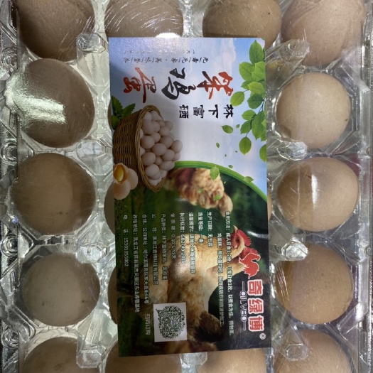 哈尔滨 林下富硒笨鸡蛋！纯山林散养，批发零售，礼盒、商品盒、箱