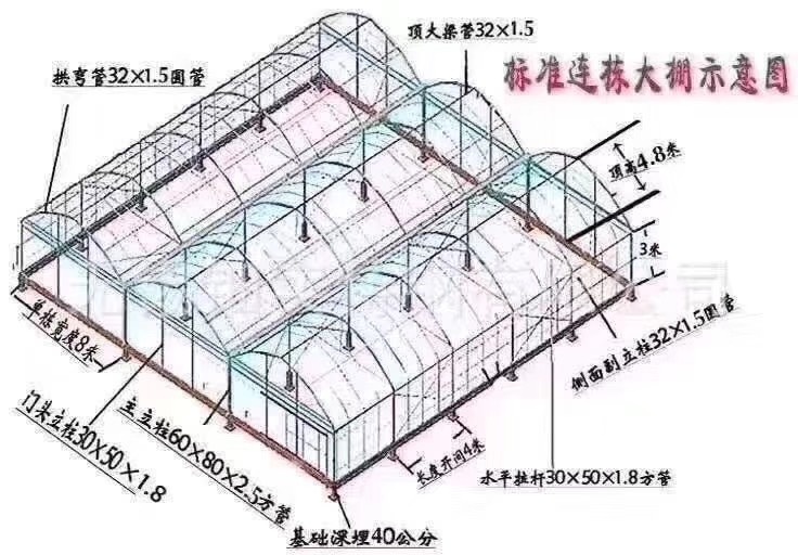 天津蔬菜大棚