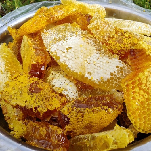 景谷县蜂巢蜜  云南树洞蜂蜜 纯度500克一瓶