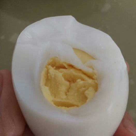 永吉县 笨鹅蛋，土鹅蛋，自己养，保证质量 无饲料 新下的