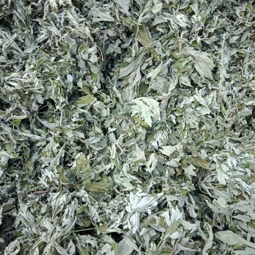 宜城市艾草