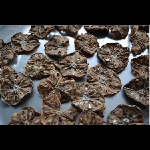 绍兴 诺丽果干