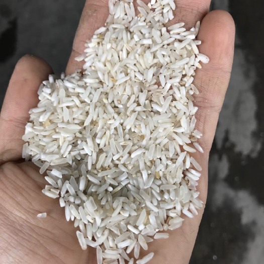 广州禽畜用饲料 靓色选黄米 可供饲料厂喂鸡，鸭，鹅 ，还有水产养殖业喂鱼虾。