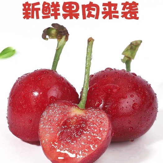 冠县【红灯】红灯樱桃大樱桃产地代收代发代办