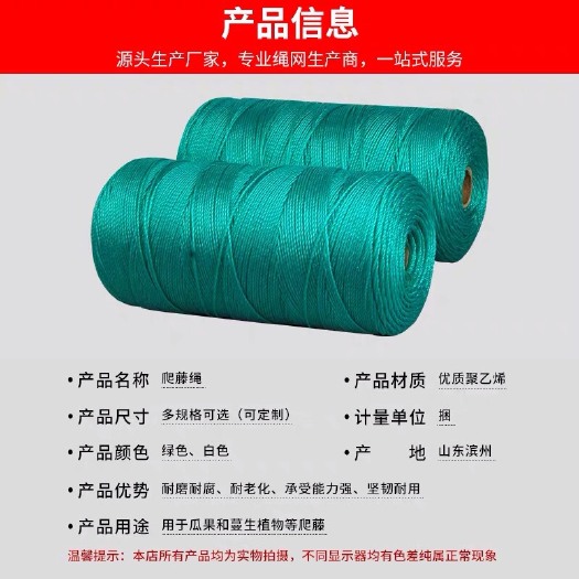 大棚吊秧绳蔬菜黄瓜吊蔓绳塑料绳子 尼龙绳爬藤网 拉绳吊绳苇板