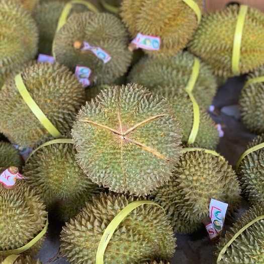 昆明 泰国A级甲仑榴莲