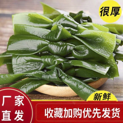 新鲜特厚嫩绿海带结整箱盐渍海带火锅串食材鲜海带
