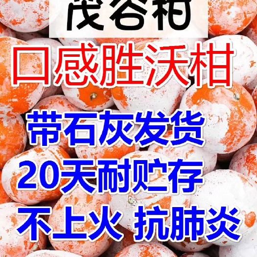 南宁广西武鸣茂谷柑9斤新鲜当季水果自家果园现摘新品柑橘纯甜促销