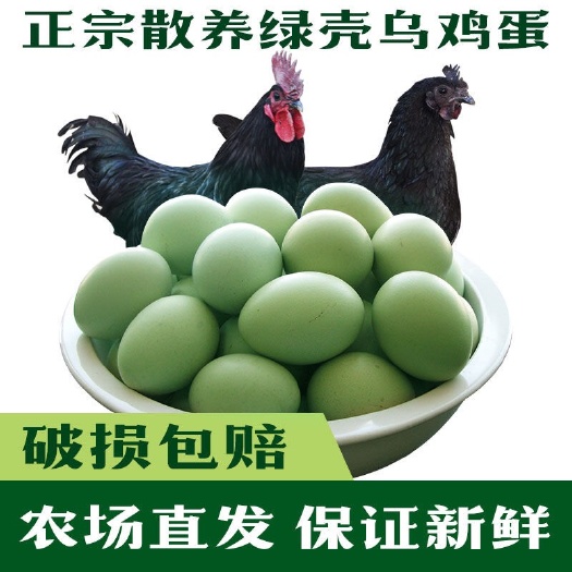 荆门乌鸡蛋新鲜绿壳土鸡蛋笨鸡蛋月子蛋草鸡蛋乌鸡蛋