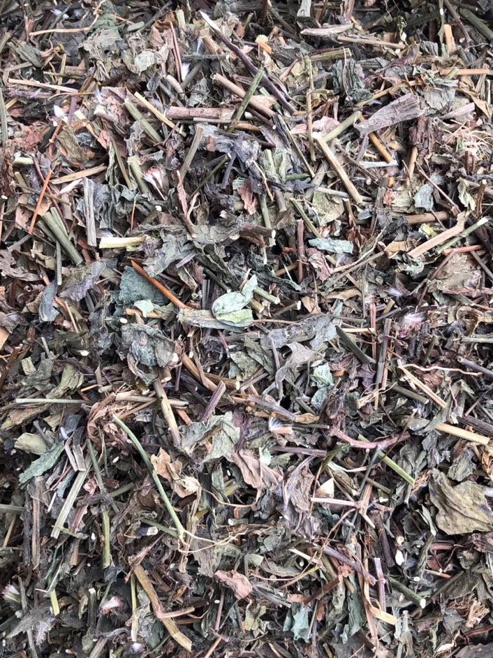 长期供应｛一点红羊蹄草｝可批量可零售量大从优【包邮】