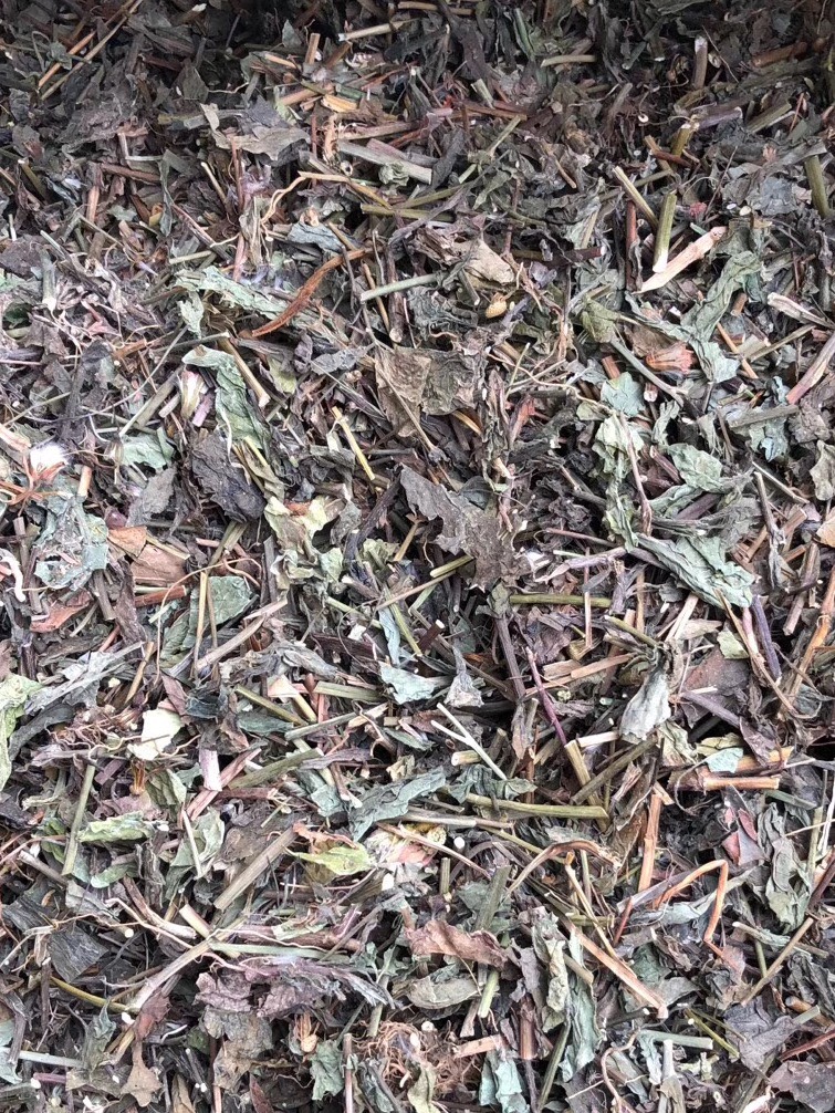 长期供应｛一点红羊蹄草｝可批量可零售量大从优【包邮】