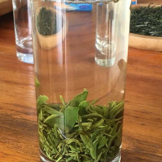 商城县 2020新茶信阳毛尖高山茶一芽一叶明前茶
