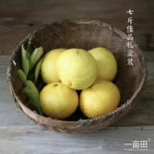 象山县春香 通货