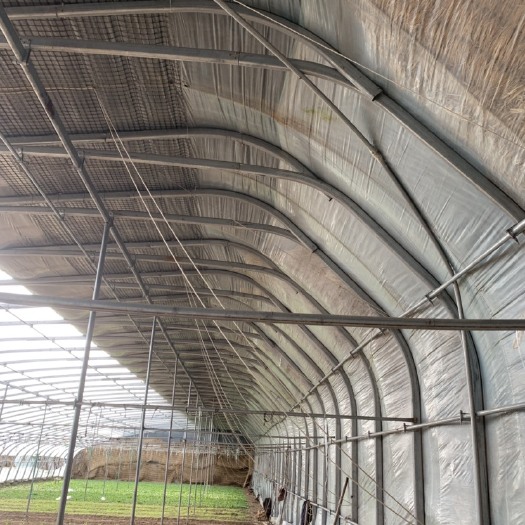 青岛C型钢温室大棚 出售2019新建温室大棚，质量优
