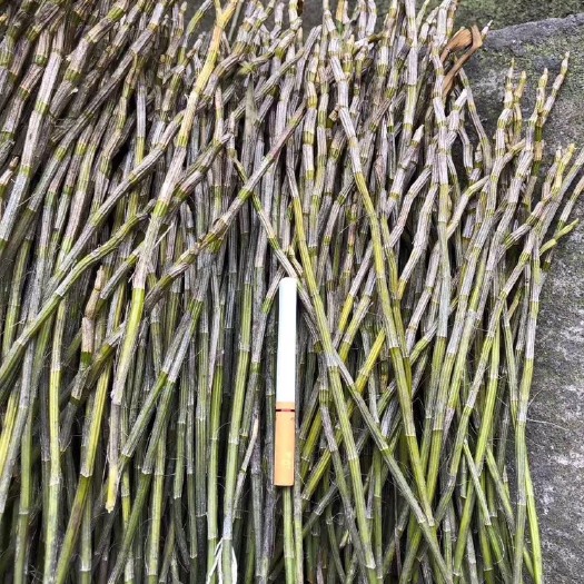 龙岩 石斛，天然产品，