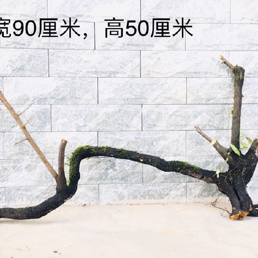 桃源县造型金弹子 金弹子天然过桥桩，