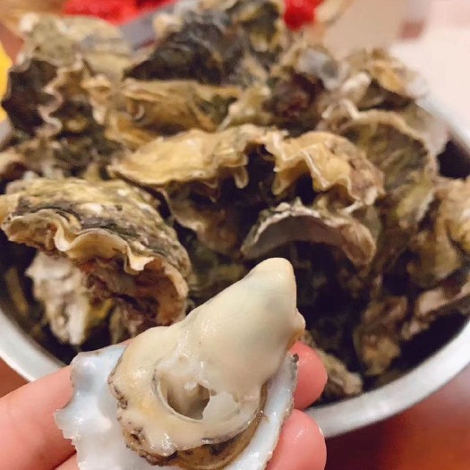 乳山市 正宗的乳山黄金牡蛎价格便宜，保证高质量，京东包邮