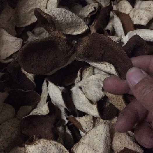 江门 正宗新会陈皮，小青柑普茶。自产自销